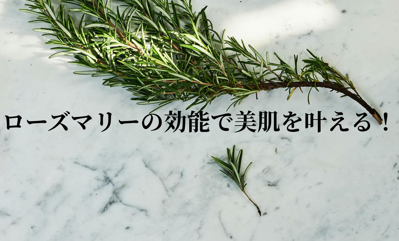 ローズマリーの効能で美肌を叶える！