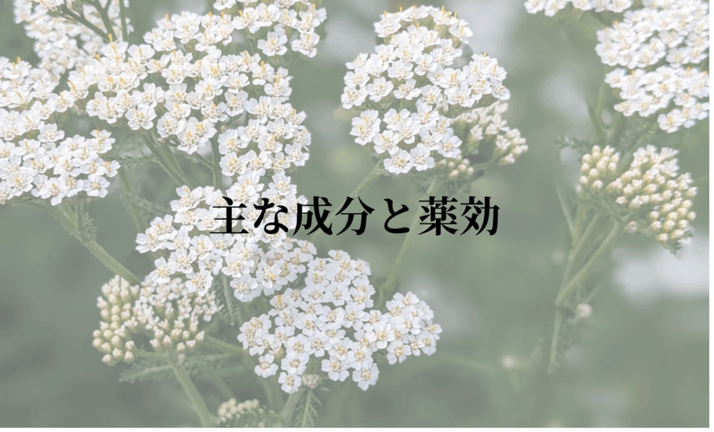主な成分と薬効
