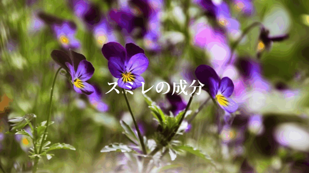 スミレの成分