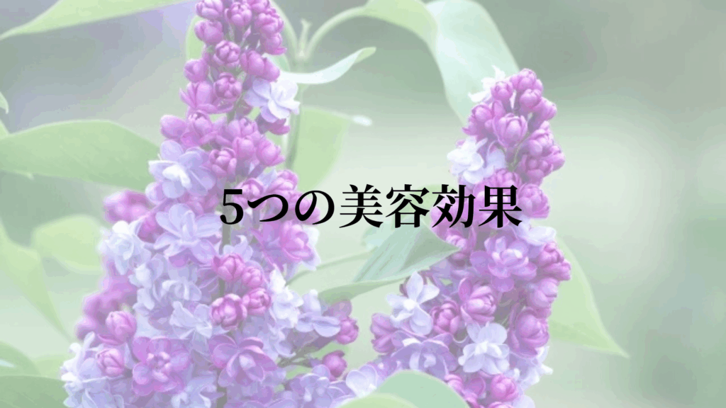 ライラック葉エキスがもたらす5つの美容効果