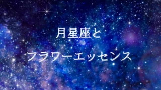 12の癒し手と星々の物語 - バッチフラワーレメディーと占星術