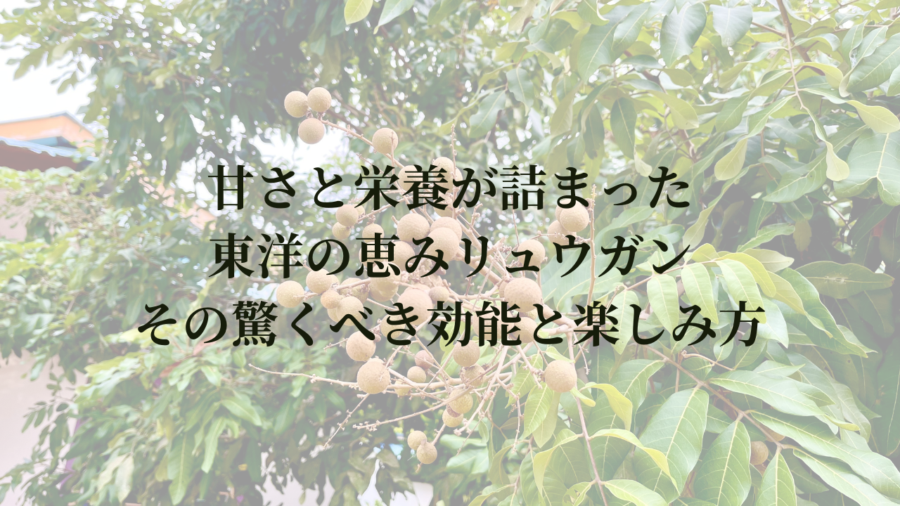 甘さと栄養が詰まった東洋の恵みリュウガン—その驚くべき効能と楽しみ方