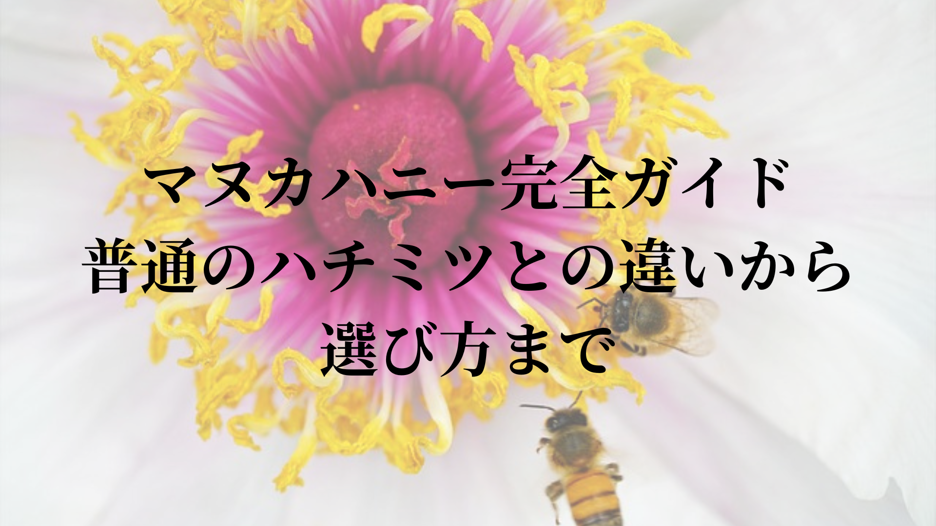 マヌカハニー完全ガイド：普通のハチミツとの違いから選び方まで