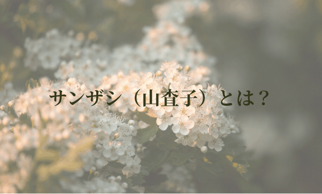サンザシ(山査子)とは?