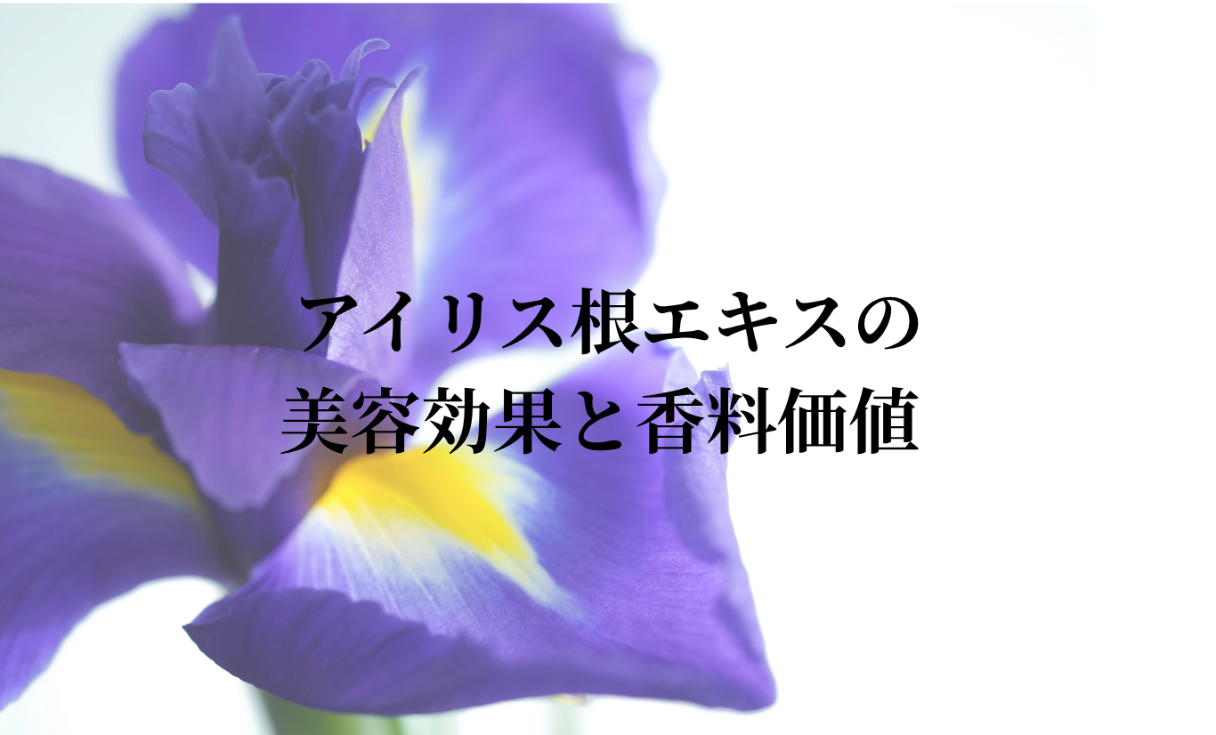 アイリス根エキスの美容効果と香料価値 - 地下に秘められた植物の宝物