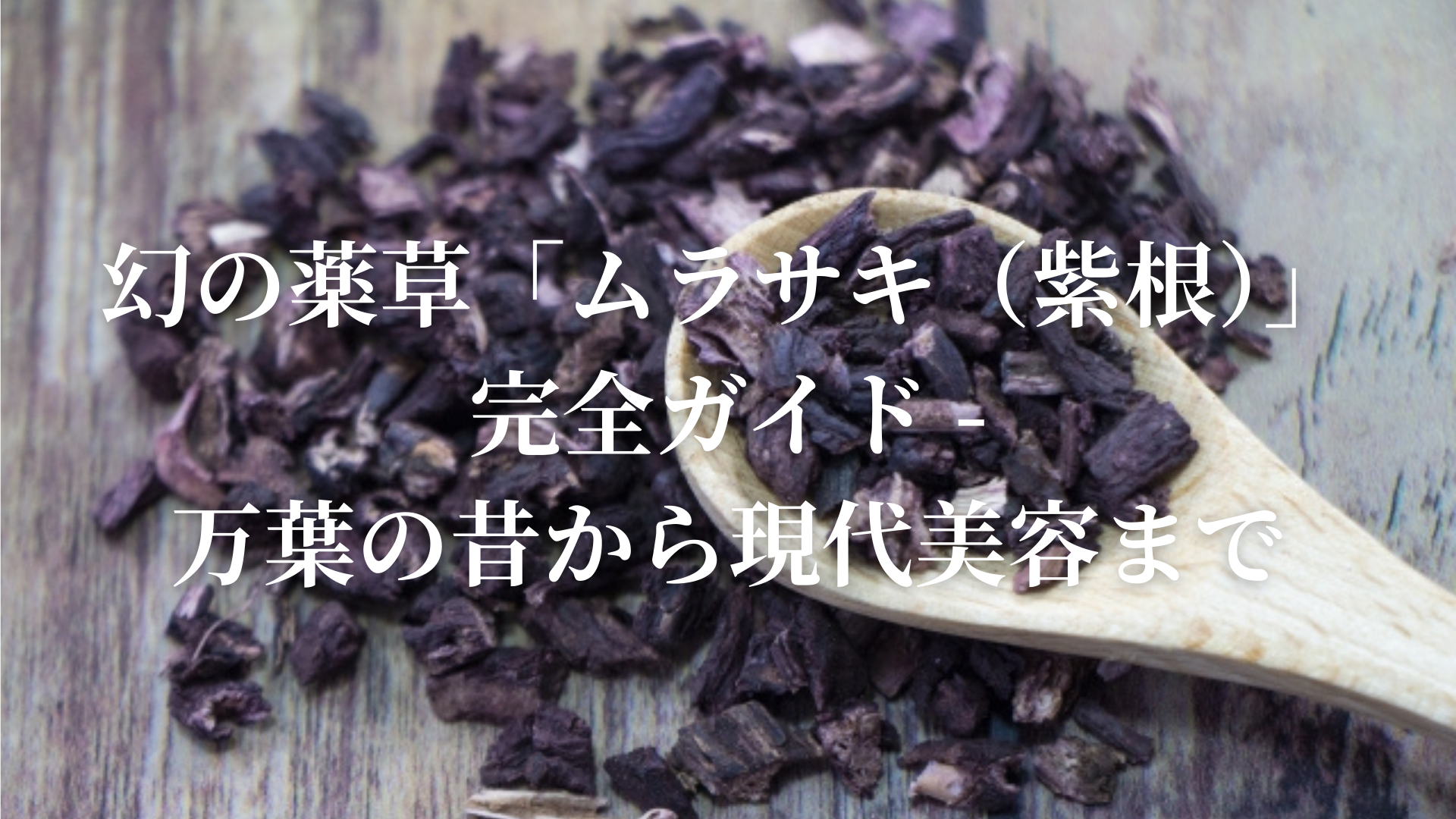 幻の薬草「ムラサキ（紫根）」完全ガイド - 万葉の昔から現代美容まで