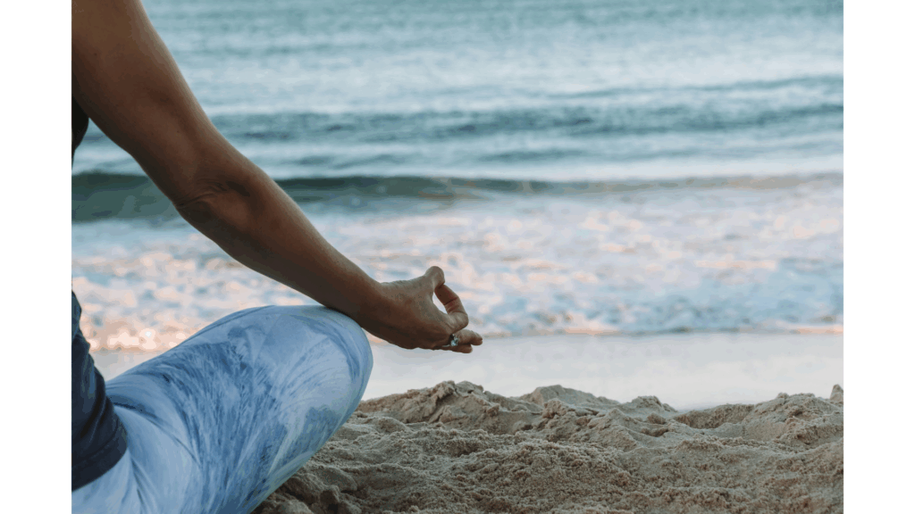 体質別ディナチャリヤのカスタマイズ