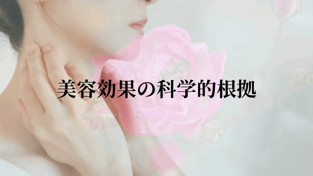 美容効果の科学的根拠