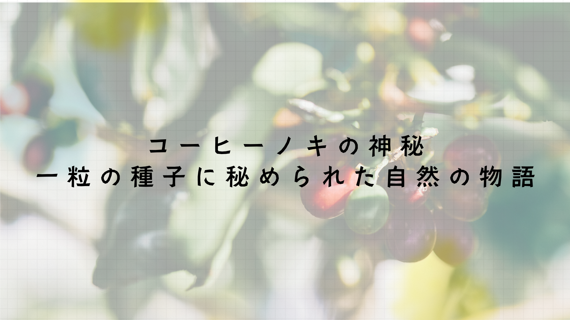 コーヒーノキの神秘～一粒の種子に秘められた自然の物語～