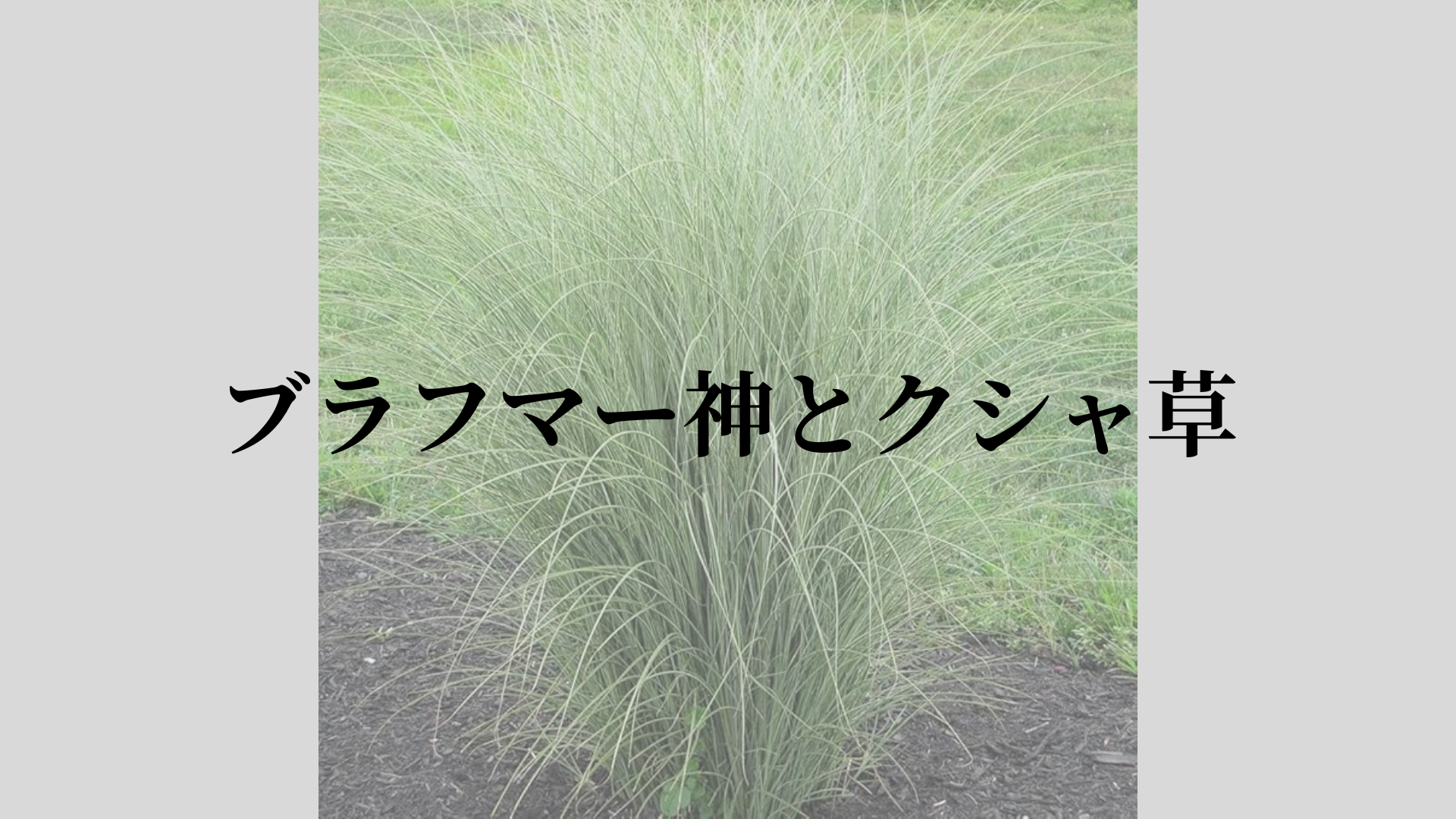 ブラフマー神とクシャ草