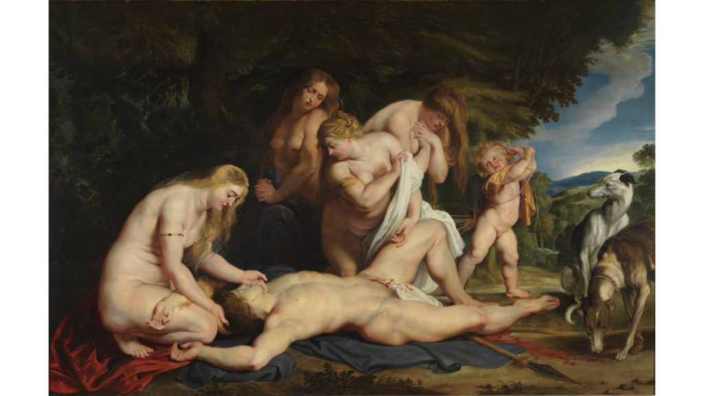 Peter Paul Rubens, Venus and Adonis, Public Domain, Wikimedia Commons