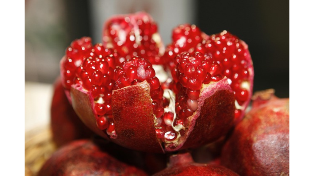 学名: Punica granatum