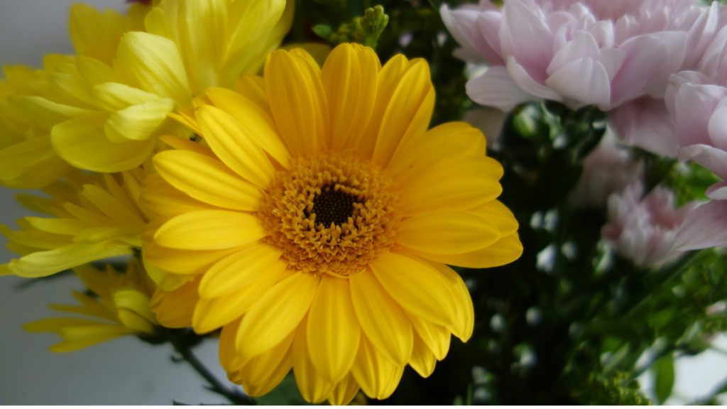 花を捧げる際のマントラ