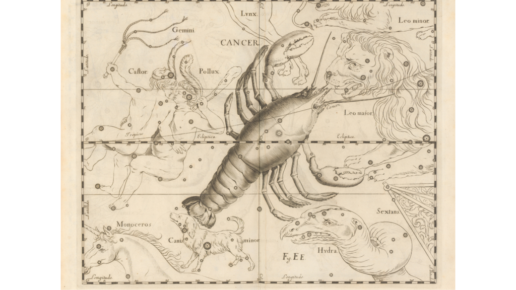 Francisco de Zurbarán|Public Domain|Wikimedia Commons